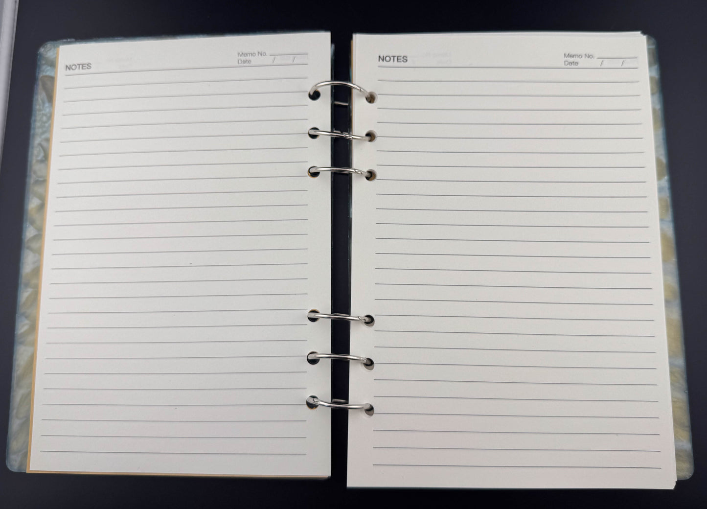 Dragon Eye Notebook II