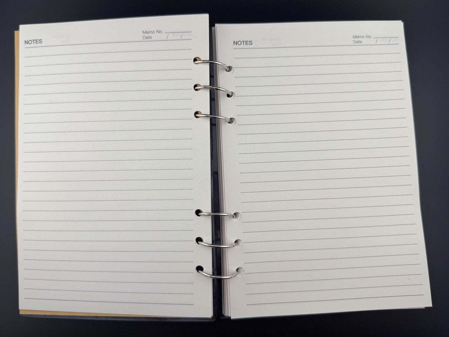 Dragon Eye Notebook I