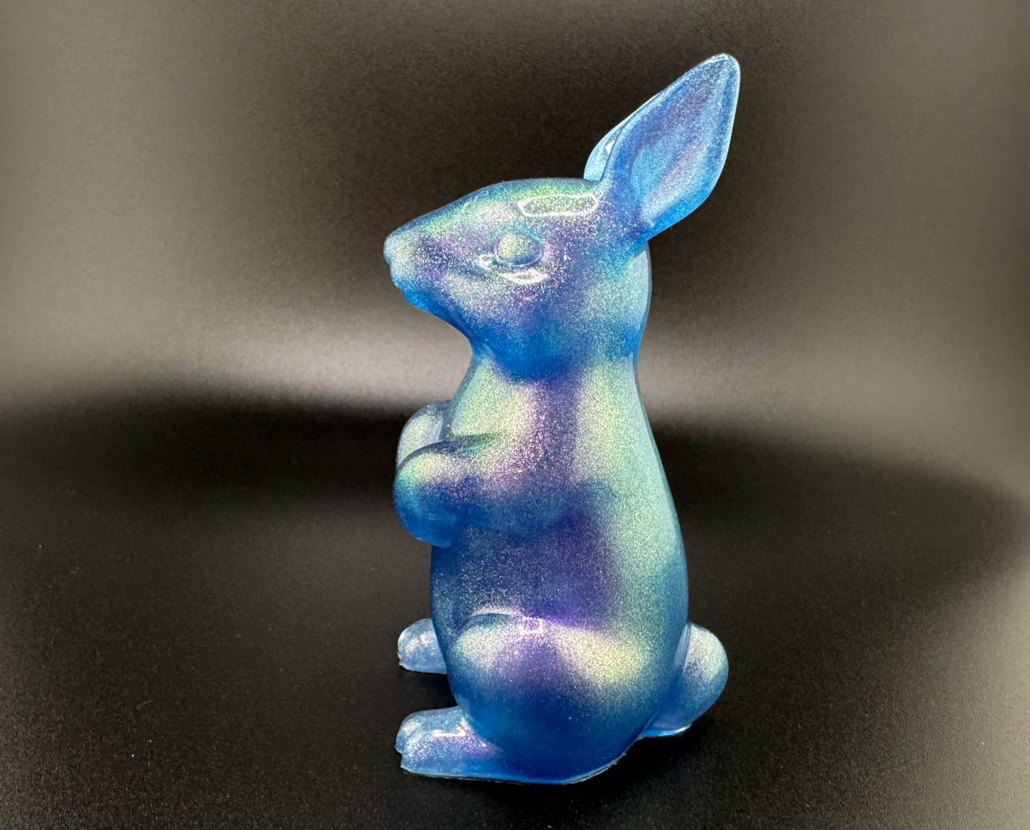 Galaxy Bunny