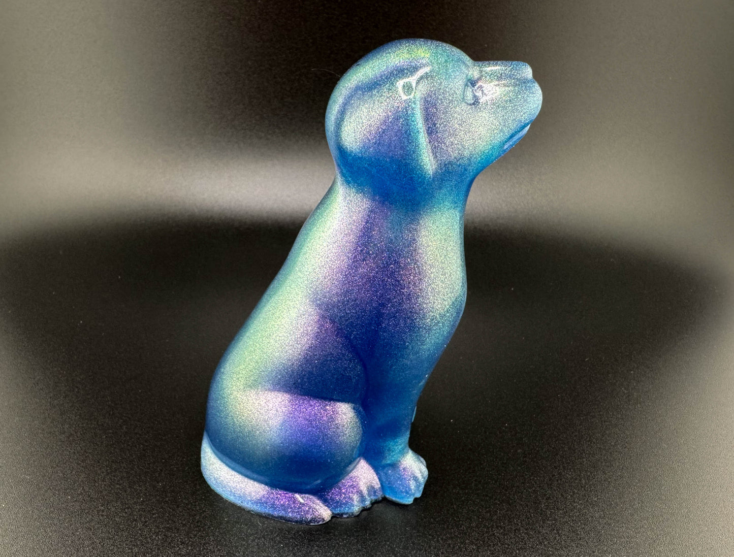 Galaxy Dog