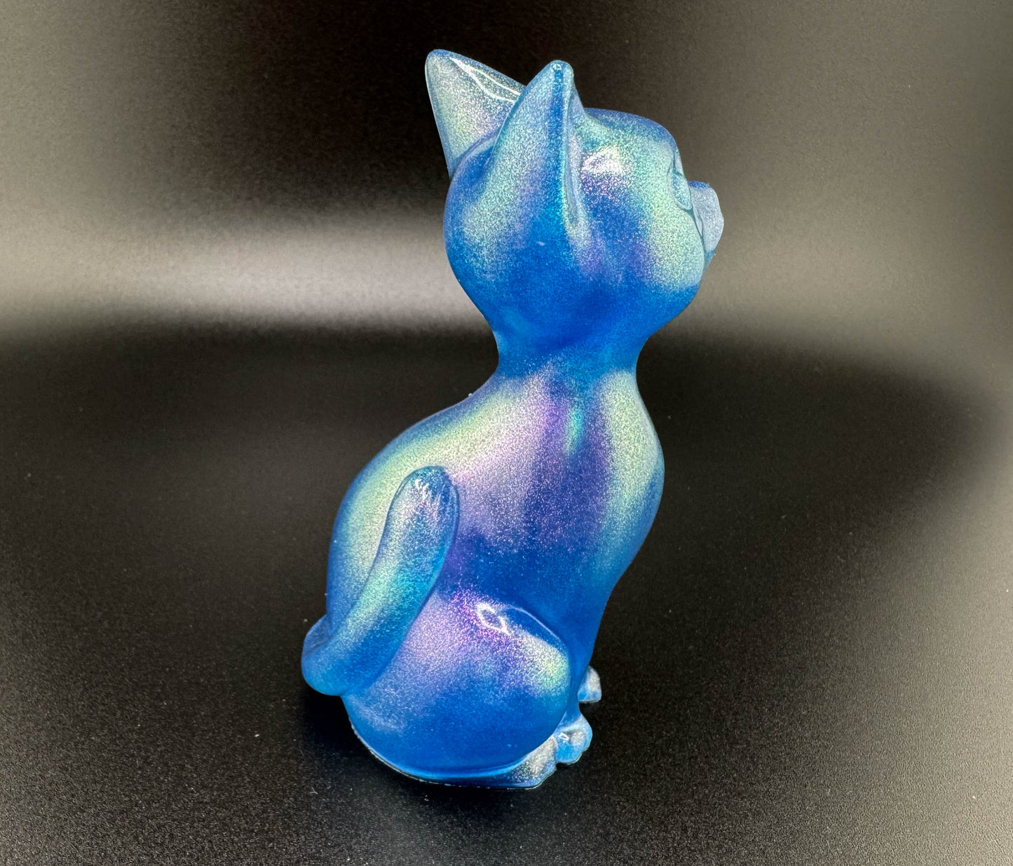 Galaxy Cat I