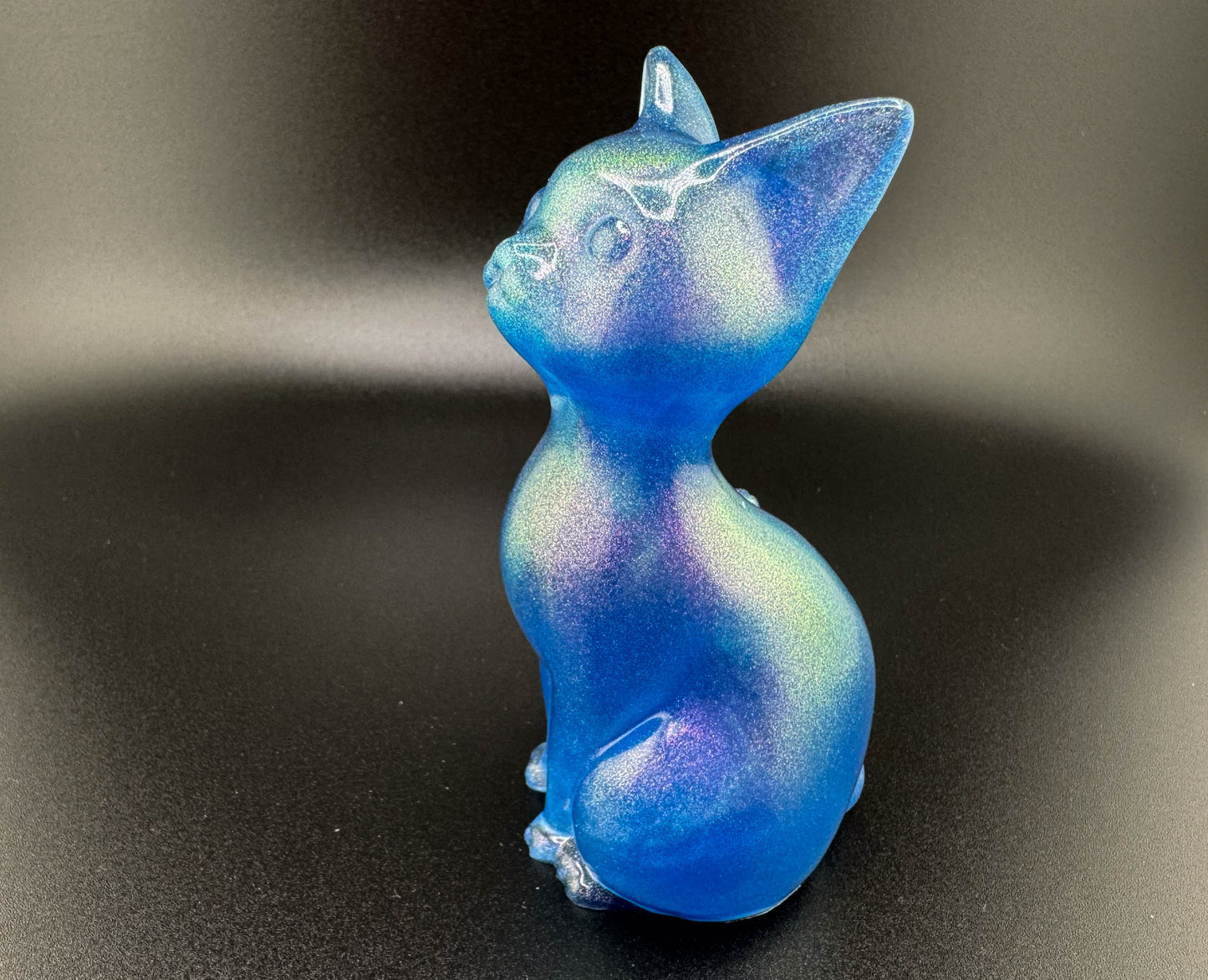 Galaxy Cat I