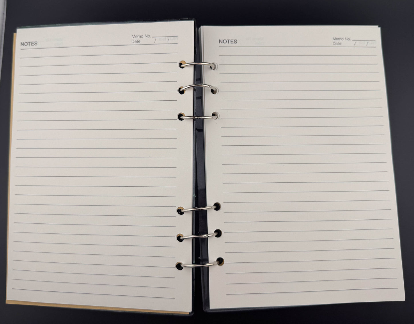 Dragon Eye Notebook I